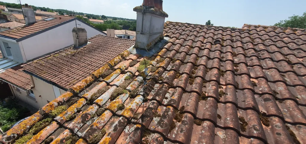mousses-lichens-toiture-nettoyage