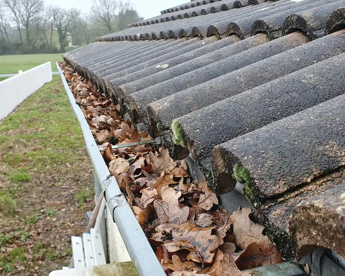 nettoyage-gouttieres-feuilles-demouss-protect