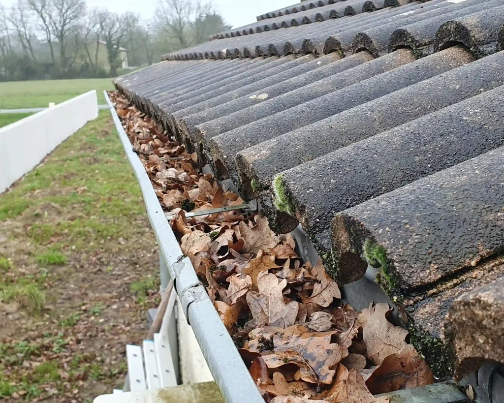 nettoyage-gouttieres-feuilles-demouss-protect