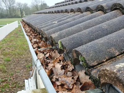 nettoyage-gouttieres-feuilles-demouss-protect